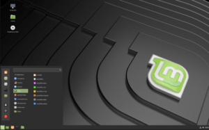 Install Linux Mint