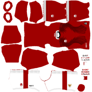 Kit DLS Timnas Indonesia 2020