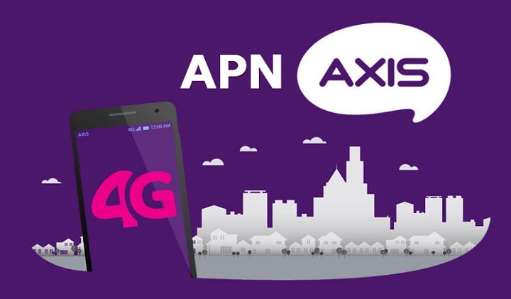 apn axis tercepat